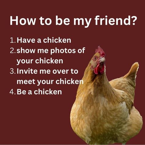 Chicken Quotes Cute, Chicken Quotes, Chicken Meme, Chicken Facts, Chicken Memes, Wyandotte Chicken, Funny Farm Memes, Chicken Images, Chicken Memes Humor