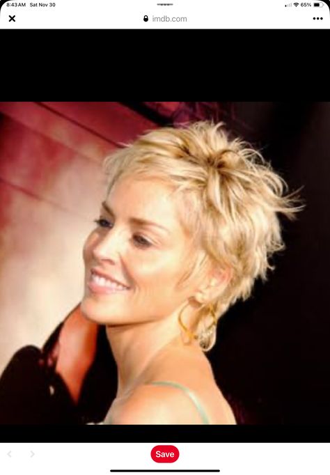 Sharon Stone Short Hair, Catwoman 2004, Sharon Stone Hairstyles, Natural Curly Hair Cuts, Foto Top, Choppy Hair, Short Curly Haircuts, Edgy Short Hair, Short Choppy Hair