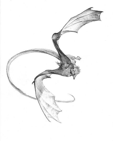 Dragon Poses Flying, Dragon Flying Up, Little Dragon Drawing, Dragon Flying Drawing, Dragon Art Sketch, Wyvern Tattoo, Wizard Of Earthsea, Sketch Base, Dragon Draw