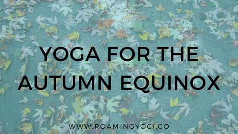 The Autumn Equinox: A Guide & Yoga Practice Seated Yoga Poses, Yoga Articles, Yoga Themes, Yoga Bolster, Yoga Props, How To Start Yoga, Yoga Community, Teaching Yoga, Yoga For Flexibility