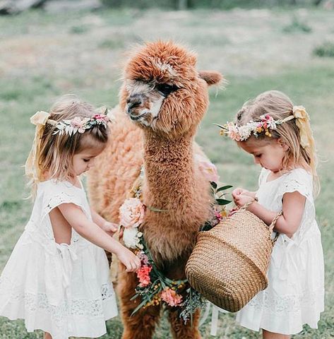 Birthday Party For Twins, Oakley Fisher, Tatum And Oakley, Taytum And Oakley, Twin Baby Girls, Do Cute, Wedding Party Ideas, Jenna Coleman, Flower Crowns