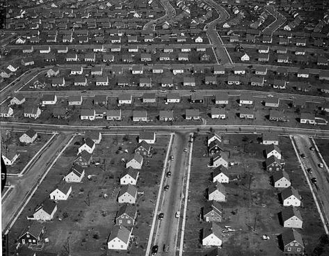 1950s Suburbia Aesthetic, 1950s Suburbia, 50s Suburbia, American Suburbia Aesthetic, 50s Horror Aesthetic, Suburbia Aesthetic, 50s Suburbia Aesthetic, Acedamia Aesthetic, The Veldt