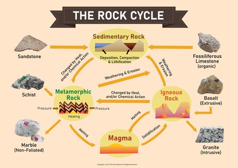 Weathering And Erosion, Rock Cycle, Sedimentary Rocks, Metamorphic Rocks, Flow Chart, Marble Granite, Geology, School Work, The Rock