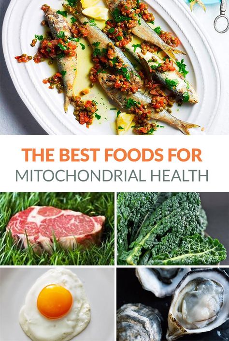 The best foods for mitochondria health (feed your cells from within) #nutrition #healthyeating #mitochondria Nervus Vagus, Mitochondrial Health, Prebiotic Foods, Fit For Life, Nutrient Rich Foods, Health Board, Healthy Fats, Meal Plan, Best Foods