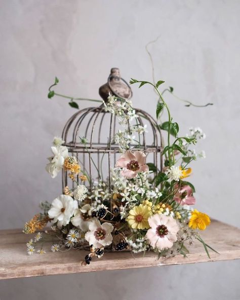 Birdcage Planter, Cage Table, Bird Cage Centerpiece, Wedding Birdcage, Bird Cage Decor, Display Table, Flower Studio, Ceremony Flowers, Bird Cages