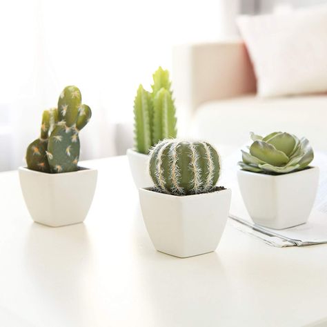 The perfect Set of 4 Faux Artificial Mini Succulent & Cactus Plants in White Cube-Shaped Pots: Home & Kitchen Small Cactus Plants, Fairy Castle Cactus, Kaktus Dan Sukulen, Artificial Cactus, Fake Plants Decor, Work Office Decor, Small Cactus, Mini Cactus, Artificial Plants Outdoor