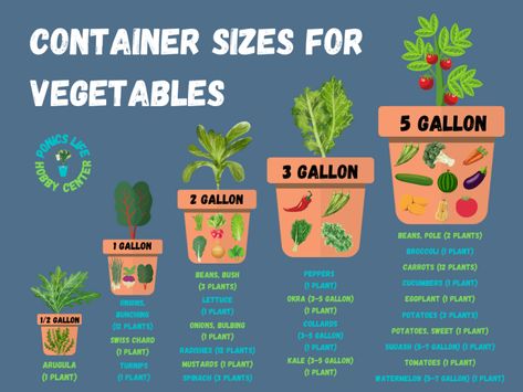 Vegetable Container Size Standards (With Chart) - Ponics Life Tips For Growing Vegetables, Jungle Courtyard, Homestead Wife, Garden Ideas For Beginners, Balcony Garden Ideas, Bucket Gardening, Vegetable Garden Planning, Vegetable Garden Diy, Green Stuff