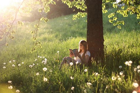 “No matter how busy you may think you are, you must find time for reading, or surrender yourself to self-chosen ignorance.” - Confucius Sitting Under A Tree, Under A Tree, Nature Photoshoot, Peaceful Places, Psalm 23, Reading A Book, Foto Art, The Meadows, 인물 사진