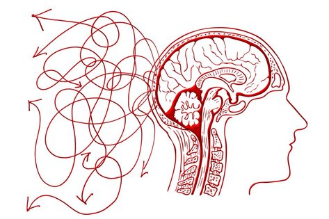 Brain Regions, Cerebral Cortex, Central Nervous System, Chronic Inflammation, Brain Activities, Human Brain, Neuroscience, Chronic Illness, Brain