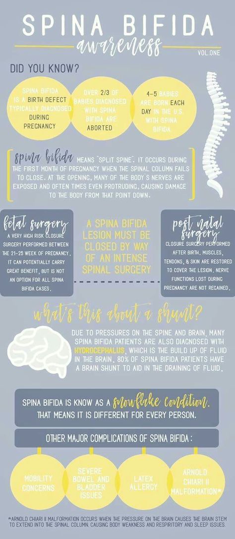 Spinal Bifida, Fetal Surgery, Awareness Infographic, Spina Bifida Awareness Month, Aesthetic Project, Spina Bifida Awareness, First Month Of Pregnancy, Community Nursing, Spina Bifida