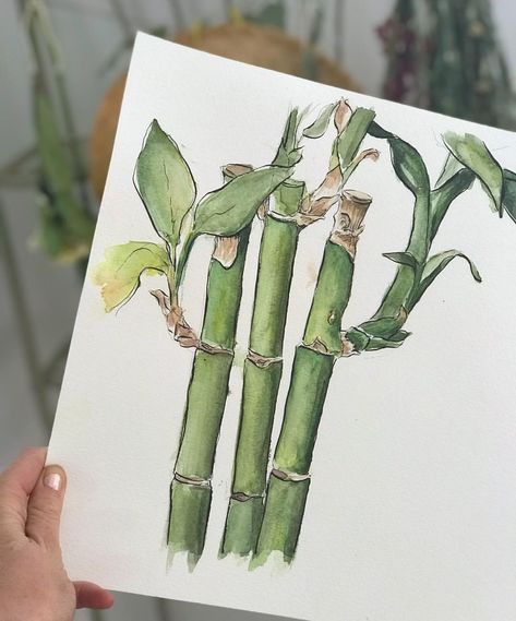 Bamboo watercolor! Watercolor Bamboo, Bamboo Garden, Abstract Flower Painting, Random Ideas, Abstract Flower, Abstract Flowers, Flower Painting, Flowers, White