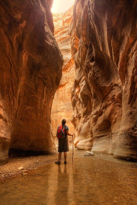 4 must-do hikes in the American Southwest. With a variety of difficulty, you're sure to find a trail to add to your Southwest travel plans. Zion Narrows, Southwest Travel, National Park Photos, Bushcraft Camping, American Southwest, Camping Tips, Country Road, Amazing Adventures, Hiking Trip