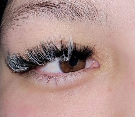 White lash extensions Black And White Lashes Extensions, White And Black Lashes, White Lashes Extensions, Black And White Eyelash Extensions, Black And White Lash Extensions, White Eyelash Extensions, Black And White Lashes, White Lash Extensions, Extension Lashes