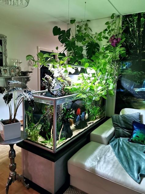 Fish Tank Themes, Zimmer Diy, Taman Air, Amazing Aquariums, Fish Tank Terrarium, Cool Fish Tanks, Fish Tank Design, Reptile Room, Aquarium Terrarium