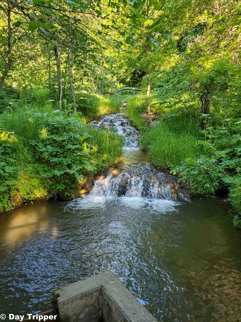 Hiking at Camden State Park in MN & Other Things to Do 4 Camden Hills State Park Maine, Hiking Club, Weekend Activities, Camping Area, The Far Side, The Meadows, Family Camping, Bike Trails, Outdoor Adventure