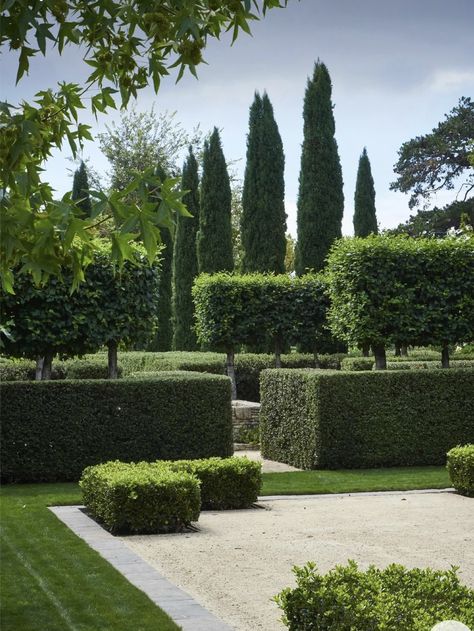 Small Formal Garden, French Garden Design, Formal Garden Design, Garden Hedges, Courtyard Gardens Design, Topiary Garden, Estate Garden, Formal Garden, Classic Garden