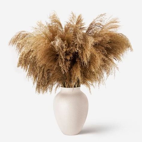 She Gave It A Go's Amazon Page Pink Pampas Grass, Pampas Grass Bouquet, Dried Pampas, Grass Decor, Pampas Grass Decor, Coffee Table Decor, Dry Plants, Same Day Flower Delivery, Luxury Flowers