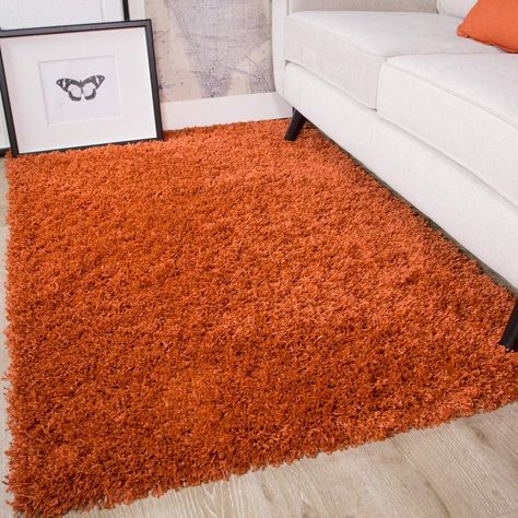 Ontario Terracotta Orange Soft Warm Thick Shaggy Shag Fluffy Living Room Area Rug Fluffy Living Room, Rug Amazon, Hallway Runner Rugs, Fireplace Rugs, Orange Terracotta, Living Room Mat, Fade Designs, Living Room Area Rug, Living Room Loft