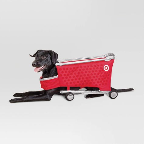 Flaunt your favorite shopping spot by dressing your pet in the Target Shopping Cart Cat and Dog Full Body Costume from Hyde & EEK! Boutique™ for Halloween. Designed in the shape of a shopping cart, this red full-body costume is made with soft fabric for comfortable wear, and features a hook-and-loop closure for a secure fit around their body. Hyde & EEK! Boutique™: Thrilling delights. Curious oddities. Target Dog Costume, Dog Diy Halloween Costumes, Small Dog Halloween Costumes, Target Costume, Target Shopping Cart, Big Dog Halloween Costumes, Dog Costumes Halloween, Dog Costume Ideas, Halloween Costumes For Dogs