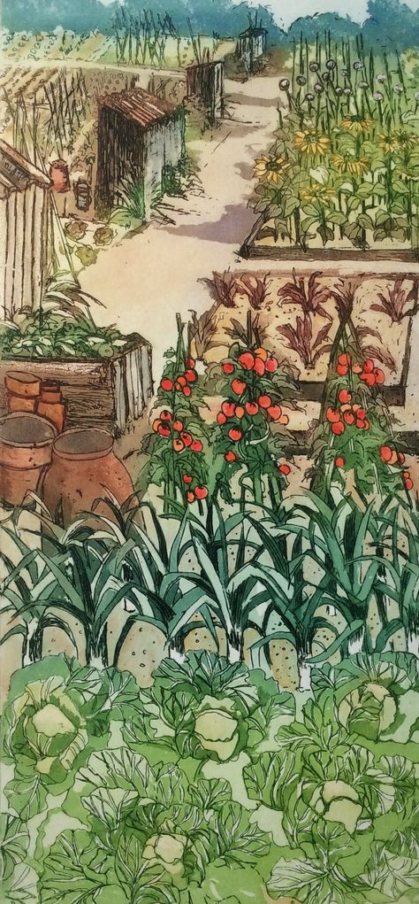 Perfect plot (2). Etching with aquatint , by Sally Winter . Vegetable Garden Art, Gardens Illustrated, Vegetable Art, Garden Illustration, Garden Drawing, Veg Garden, Garden Park, Garden Painting, Garden Fencing