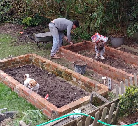 Cut Flowers In Raised Beds, Raised Cut Flower Garden, Raised Brick Garden Beds, Cut Flower Raised Bed, Raised Bed Cut Flower Garden, Raised Cut Flower Beds, Flowers In Raised Beds, Small Cut Flower Garden, Raised Flower Garden