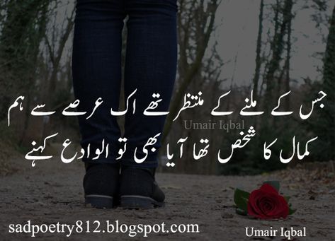 Shayari For Friends, Heartfelt Poetry, Shayari In Urdu, Shayari Urdu, Hindi Poetry, James Moriarty, Urdu Poetry, Stylish Girl, For Friends