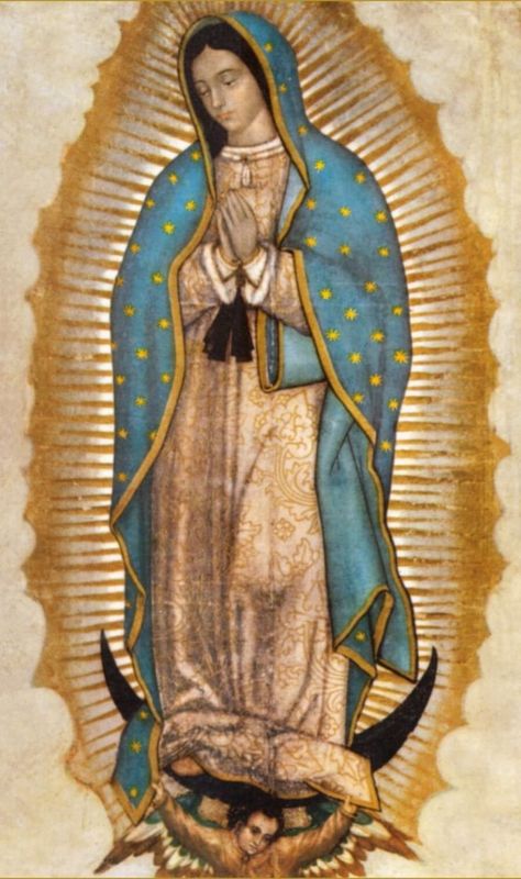 Catholic Prayers Daily, Juan Diego, Stained Glass Church, Virgin Of Guadalupe, Mama Mary, Special Prayers, Blessed Mother Mary, Our Lady Of Guadalupe, Lady Of Guadalupe