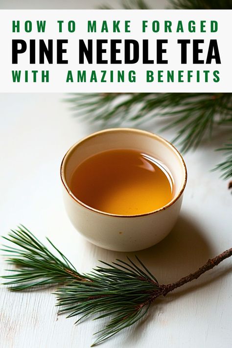 Learn how to make pine needle tea with amazing health benefits. This guide includes safe preparation methods and creative serving ideas for this antioxidant-rich herbal tea, perfect for boosting immunity and soothing the senses.