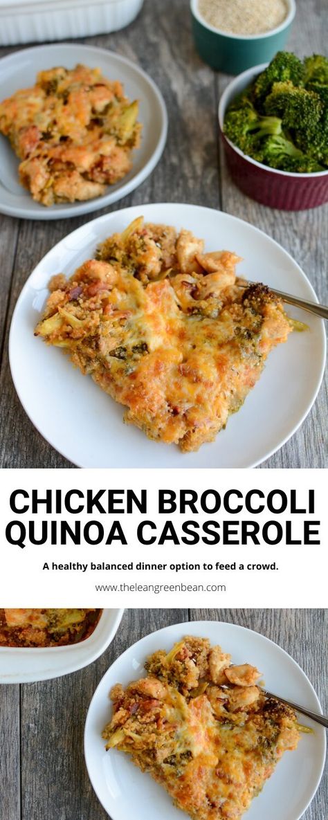 Broccoli Chicken Quinoa Casserole 8 Rotisserie Chicken Quinoa, Chicken Broccoli Quinoa, Broccoli Quinoa Casserole, Quinoa Casserole, Chicken Quinoa, Fresh Broccoli, Balanced Meals, Chicken Broccoli, Green Bean Recipes