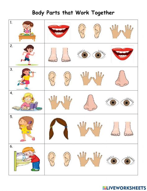 Elementary Worksheets, Body Parts Preschool, Classroom Rules Poster, Rules For Kids, Kids Worksheets Preschool, Lightroom Editing Tutorials, Teaching Social Skills, Alphabet Worksheets Preschool, Learning Worksheets