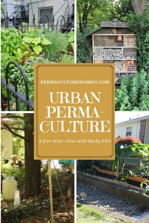 Urban Permaculture Small Spaces, Eco Community, Urban Permaculture, Guerrilla Gardening, Urban Farm, Permaculture Gardening, Permaculture Design, Urban Farming, Grow Your Own Food