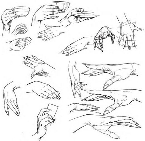 Flooby Nooby: Hands (Part 1) Drawing Improvement, Hands Tutorial, White Sketches, Sketch Tutorial, Hands Drawing, Female Hands, Draw Hands, Drawing Hands, Hand Gestures