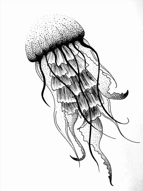 Jellyfish Drawing Easy Gdpicture.us - Jellyfish Sketch Jellyfish Stippling, Jellyfish Drawing Easy, Jellyfish Sketch, Dotwork Drawing, Dotwork Art, Tier Tattoo, Jellyfish Drawing, Dibujos Tattoo, Jellyfish Tattoo