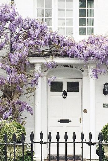 lavender home Purple Cottage, Wisteria Lane, French Balcony, Spring Cottage, Lavender Cottage, Zsazsa Bellagio, Purple Wisteria, Climbing Flowers, Main Entrance Door Design