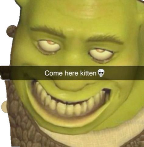 Sus Pictures, Sus Things, Sus Stuff, Shrek Funny, Funny Pix, Vines Funny Videos, Crazy Funny Pictures, Funny Profile, Come Here