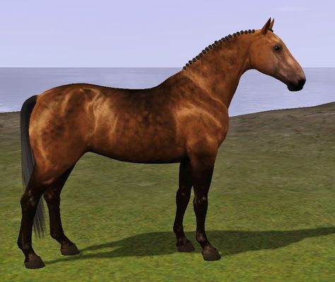 X-tina Sims Equestrian: Horses Sims Horses, The Sims 3 Pets, Cleveland Bay, Sims 2, Sims 3, Equestrian, Sims 4, Mustang, Art Reference