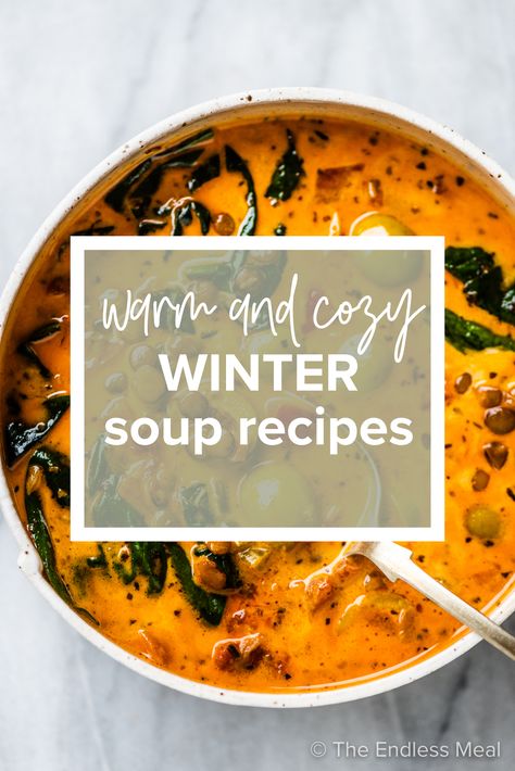 Hearty Soup Recipes Winter, Winter Soup Recipes Healthy, Best Winter Soups, Best Chicken Tortilla Soup, Winter Soup Recipes, Tomato Lentil Soup, Homemade Vegetable Broth, Chicken Soups, Creamy Tortellini Soup