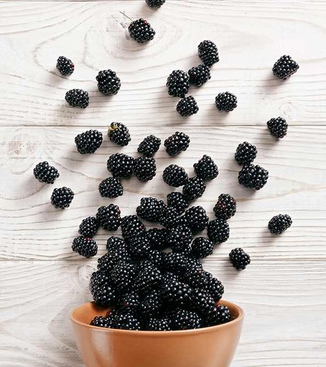 Dream Fridge, Blackberry Fruit, Fruits Photos, Make Food, Fruit Photography, How To Make Jam, Cute Food Art, Healthy Fruits, To Touch