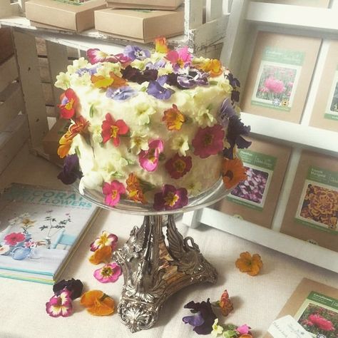 Lovely to see our edible flowers on the stand of @meadowinmygarden and @theedibleflowershop at @the ediblegardensho in London. If you are there visit stand 469 and tell Paul that he should be on @TheGreatBritishBakeOff! Botanical Cake, Edible Flowers Cake, Flower Cake Decorations, Rectangle Cake, Birthday Cake With Flowers, Birthday Dinner Party, Tea Food, Flower Cakes, Flowers Cake