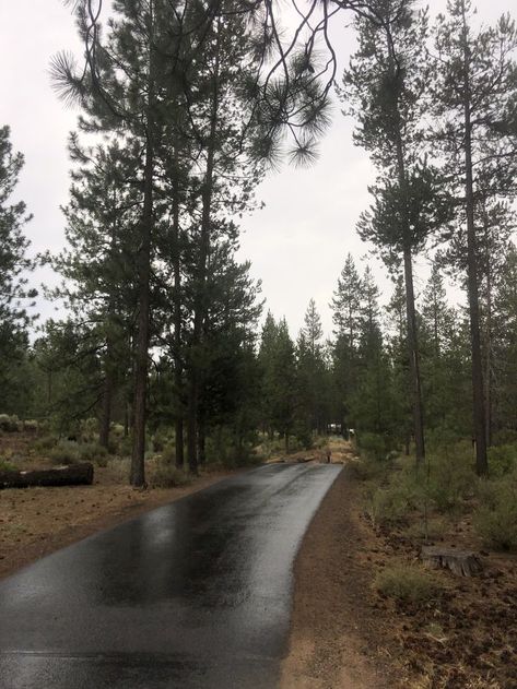 Rainy Washington, Washington State Forest, Rainy Night, The Pacific Northwest, Day Hike, Washington State, The Pacific, Rainy Days, Pacific Northwest