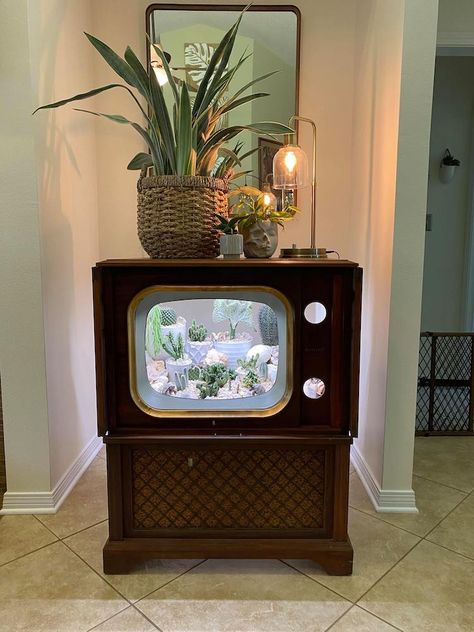 Vintage Tv Terrarium, Floor Model Tv Repurpose Old Tv, Old Tv Upcycle, Tv Terrarium, Terrarium Furniture, Autumn Bedroom, Artistic Anatomy, Unique Terrarium, Bee House