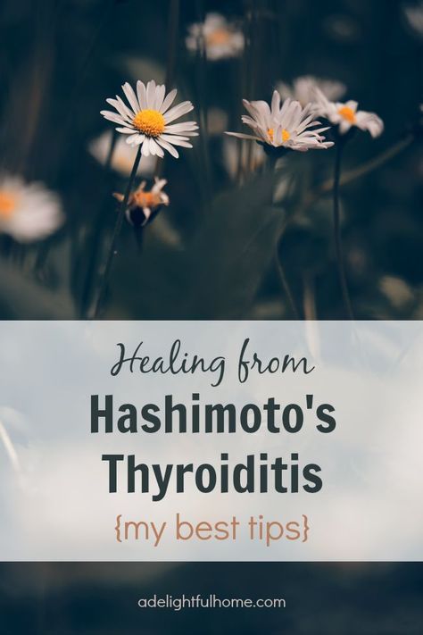 Healing Hashimotos Naturally, Best Exercise For Hashimotos, Best Supplements For Hashimotos, Stages Of Hashimotos, What Is Hashimotos Disease, Treat Hashimotos Naturally, Hashimotos Disease Diet, Low Thyroid Remedies, Thyroid Remedies