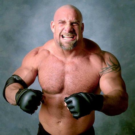 Goldberg Goldberg Wwe, Bill Goldberg, Wrestling Superstars, Wwe News, Wwe Photos, World Champion, Wwe Superstars, Pro Wrestling, Ufc