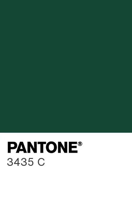 Forest Green Pantone, Emerald Green Pantone, Green Pantone, Pantone Color, Bedroom Makeover, Emerald Green, Search Engine, Emerald, Benefits