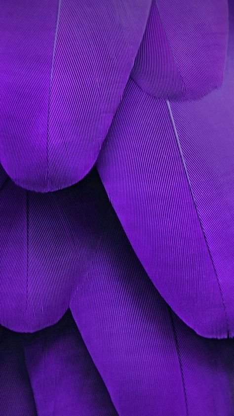 Ultra Violet | Colour Of The Year | Purple Ultraviolet Color, Feathers Wallpaper, Pixel Wallpaper, Dream Inspiration, Fruits Design, Portrait Makeup, Beach Mountain, Violet Aesthetic, City Summer