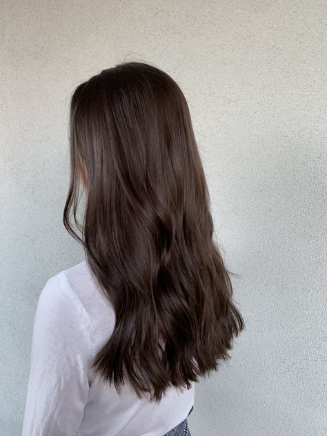 Chocolate Brown Brunette Hair, Brown Medium Short Hair, Long Dark Brown Hair Cool Tone, Brown Hair Dye Over Highlights, Trendy Haircuts For Thick Long Hair, Light Brunette All Over Color, Milk Chocolate Brown Hair With Lowlights, Chocolate Brown Summer Hair, Soft Medium Brown Hair