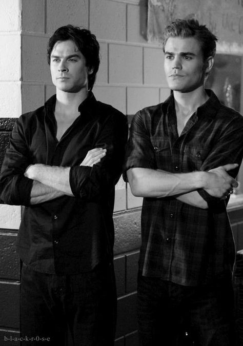 Salva Bros. Stephan And Damon, Ian Somerhalder Vampire, Paul Wesley Vampire Diaries, Damon And Stefan Salvatore, Arielle Kebbel, Salvatore Brothers, The Salvatore Brothers, Ian Joseph Somerhalder, Ian Somerhalder Vampire Diaries