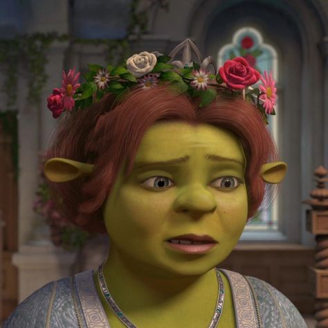 Princess Fiona Aesthetic, Fiona Shrek Aesthetic, Shrek And Fiona Aesthetic, Fiona Aesthetic, Princess Fiona Shrek, Fiona From Shrek, Shrek Aesthetic, Whomp Whomp, Shrek And Fiona