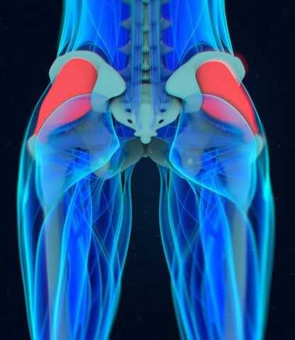 10 Best Exercises To Strengthen Your Gluteus Medius - SET FOR SET Clam Exercise, Gluteus Medius Exercises, Barbell Hip Thrust, Glute Medius, Sports Physical Therapy, Hip Flexor Exercises, Hip Pain Relief, Gluteal Muscles, Single Leg Deadlift