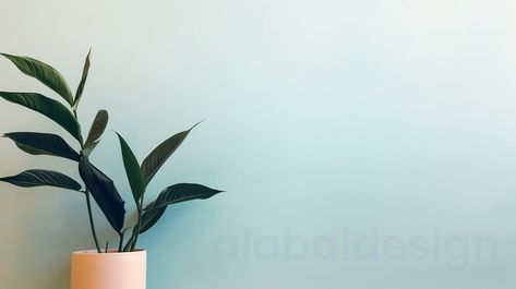 Plant Home Office, Zoom Wallpaper, Light Blue Walls, Zoom Background, Office Background, Plant Home, Google Hangouts, Microsoft Teams, Backdrop Design